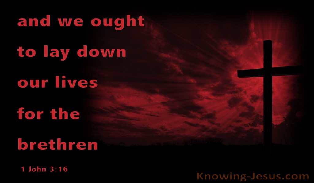 1 John 3:16 Lay Down Our Life For The Brethren  (red)